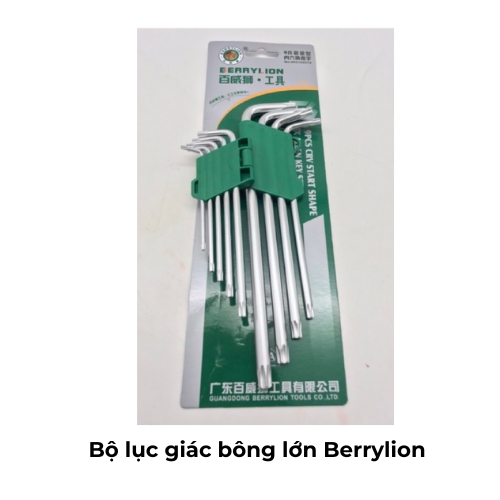 Bộ lục giác bông lớn Berrylion