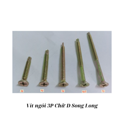[VN30DSL] Vít ngói 3P D Song Long_B1000_T15