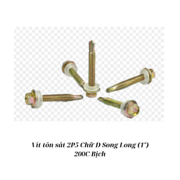 [VTS25DSL200] Vít tôn sắt 2P5 D (1") Song Long_B200_T40